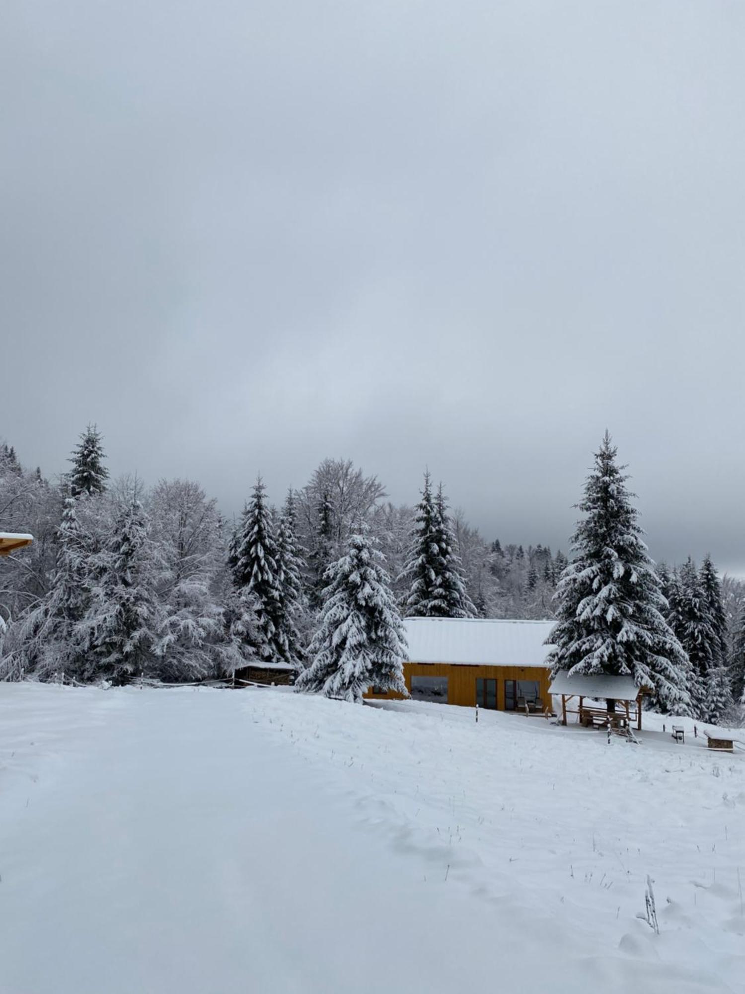 Granero Chalet
